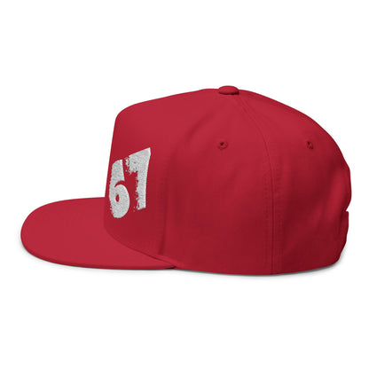 67 Cool Flat Bill Cap with Embroidered '67' Design, Unisex Baseball Hat, Trendy Streetwear Accessory, Perfect for Sports and Casual [...]