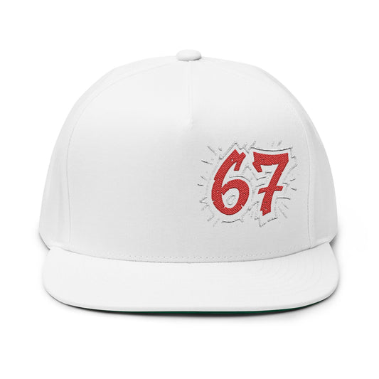 67 Stylish Embroidered Flat Bill Cap | Trendy Accessories for Streetwear, Casual Looks, Gift Ideas, Sports Events, Cool Outfit