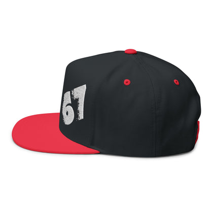 67 Cool Flat Bill Cap with Embroidered '67' Design, Unisex Baseball Hat, Trendy Streetwear Accessory, Perfect for Sports and Casual [...]