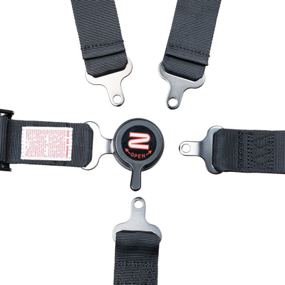 Race Seat Harness Youth Black 2" 5 Point Camlock Pull Down (Out)